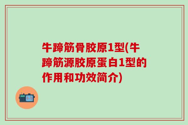 牛蹄筋骨胶原1型(牛蹄筋源胶原蛋白1型的作用和功效简介)