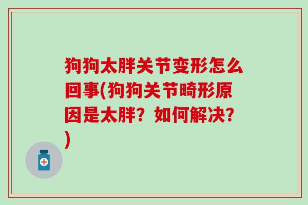 狗狗太胖关节变形怎么回事(狗狗关节畸形原因是太胖？如何解决？)