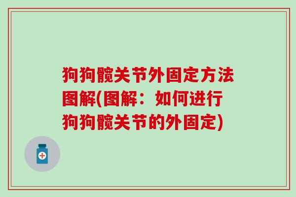 狗狗髋关节外固定方法图解(图解：如何进行狗狗髋关节的外固定)