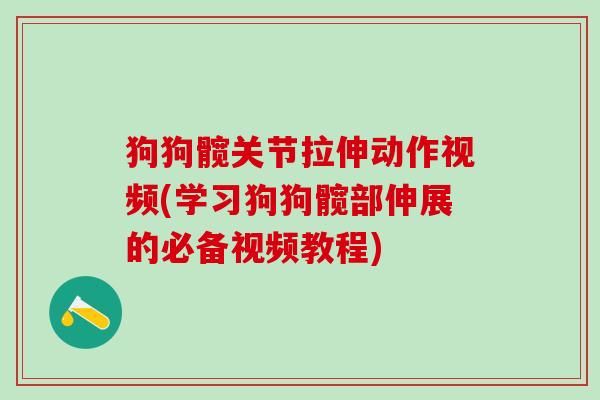 狗狗髋关节拉伸动作视频(学习狗狗髋部伸展的必备视频教程)