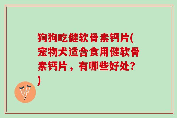 狗狗吃健软骨素钙片(宠物犬适合食用健软骨素钙片，有哪些好处？)