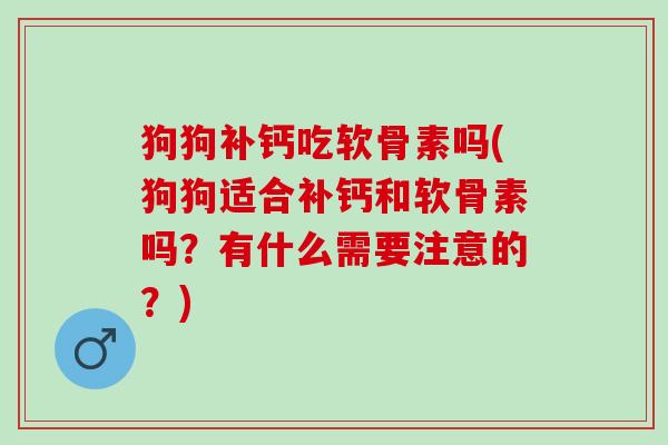 狗狗补钙吃软骨素吗(狗狗适合补钙和软骨素吗？有什么需要注意的？)