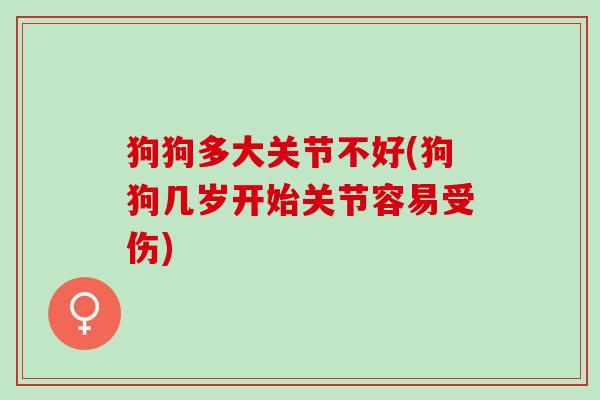 狗狗多大关节不好(狗狗几岁开始关节容易受伤)