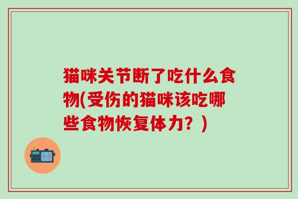 猫咪关节断了吃什么食物(受伤的猫咪该吃哪些食物恢复体力？)