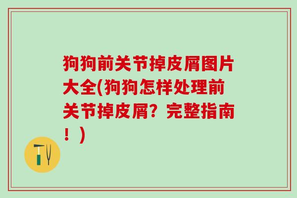 狗狗前关节掉皮屑图片大全(狗狗怎样处理前关节掉皮屑？完整指南！)