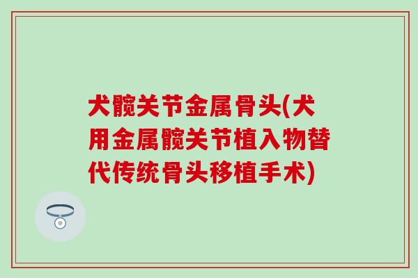 犬髋关节金属骨头(犬用金属髋关节植入物替代传统骨头移植手术)