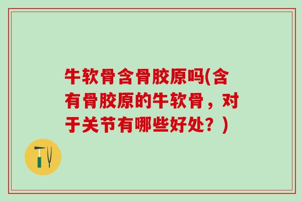 牛软骨含骨胶原吗(含有骨胶原的牛软骨，对于关节有哪些好处？)