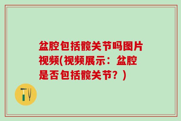 盆腔包括髋关节吗图片视频(视频展示：盆腔是否包括髋关节？)