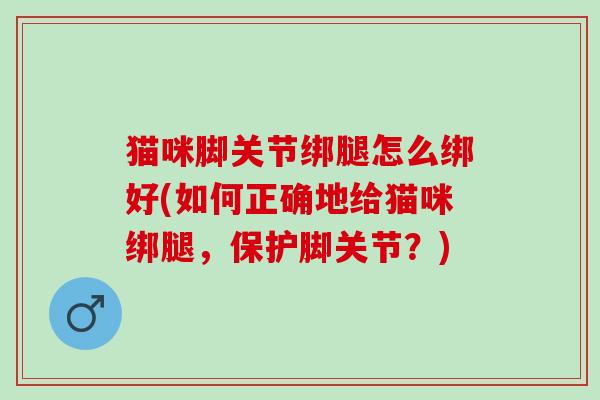猫咪脚关节绑腿怎么绑好(如何正确地给猫咪绑腿，保护脚关节？)