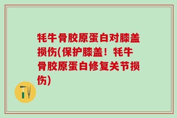 牦牛骨胶原蛋白对膝盖损伤(保护膝盖！牦牛骨胶原蛋白修复关节损伤)