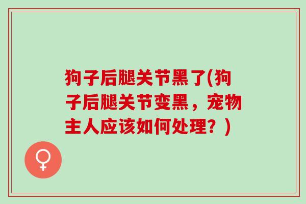 狗子后腿关节黑了(狗子后腿关节变黑，宠物主人应该如何处理？)