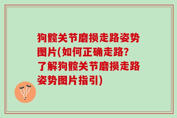 狗髋关节磨损走路姿势图片(如何正确走路？了解狗髋关节磨损走路姿势图片指引)
