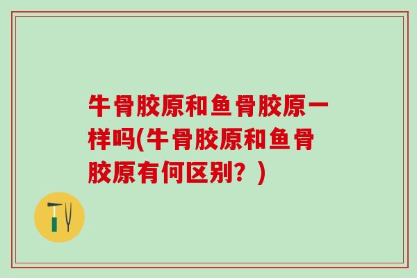 牛骨胶原和鱼骨胶原一样吗(牛骨胶原和鱼骨胶原有何区别？)