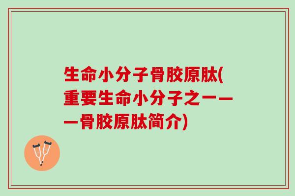 生命小分子骨胶原肽(重要生命小分子之一——骨胶原肽简介)