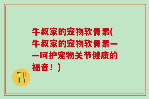 牛叔家的宠物软骨素(牛叔家的宠物软骨素——呵护宠物关节健康的福音！)