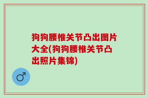狗狗腰椎关节凸出图片大全(狗狗腰椎关节凸出照片集锦)