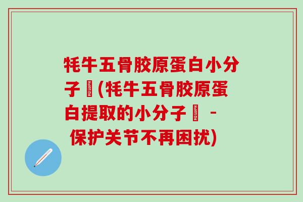 牦牛五骨胶原蛋白小分子舦(牦牛五骨胶原蛋白提取的小分子舦 - 保护关节不再困扰)
