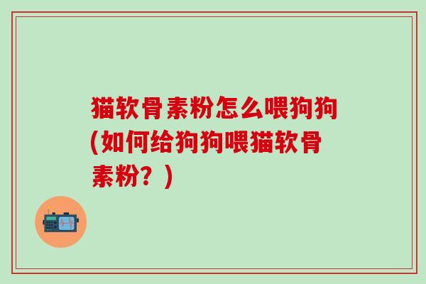 猫软骨素粉怎么喂狗狗(如何给狗狗喂猫软骨素粉？)