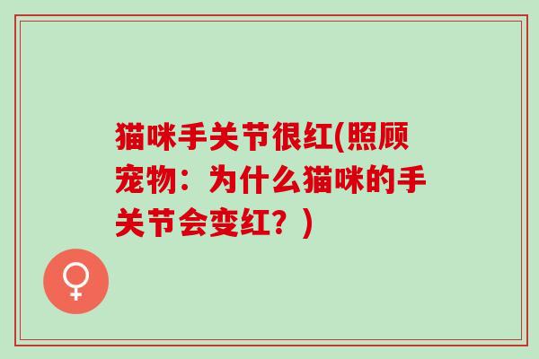 猫咪手关节很红(照顾宠物:为什么猫咪的手关节会变红?) 猫咪手关节很红(照顾宠物:为什么猫咪的手关节会变红?)