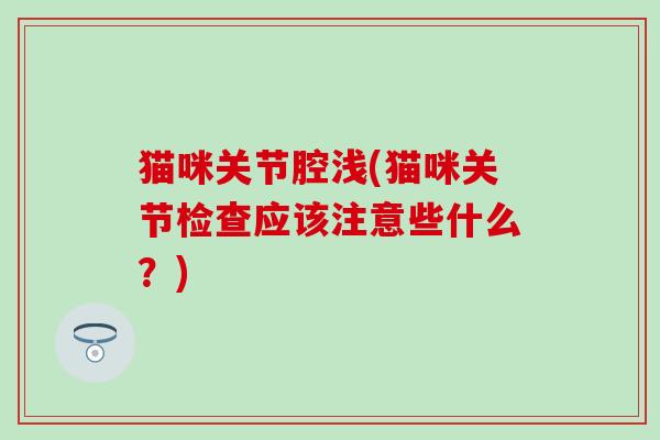 猫咪关节腔浅(猫咪关节检查应该注意些什么？)