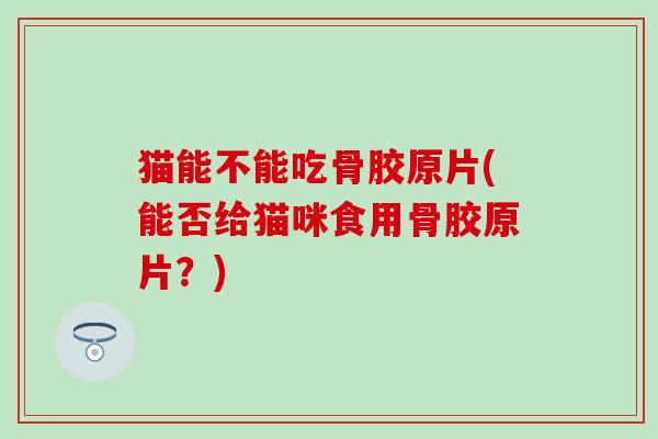 猫能不能吃骨胶原片(能否给猫咪食用骨胶原片？)