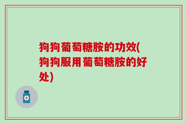 狗狗葡萄糖胺的功效(狗狗服用葡萄糖胺的好处) 狗狗葡萄糖胺的功效(狗狗服用葡萄糖胺的好处)