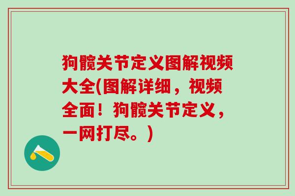 狗髋关节定义图解视频大全(图解详细，视频全面！狗髋关节定义，一网打尽。)