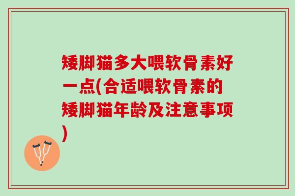 矮脚猫多大喂软骨素好一点(合适喂软骨素的矮脚猫年龄及注意事项)