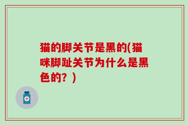 猫的脚关节是黑的(猫咪脚趾关节为什么是黑色的？)