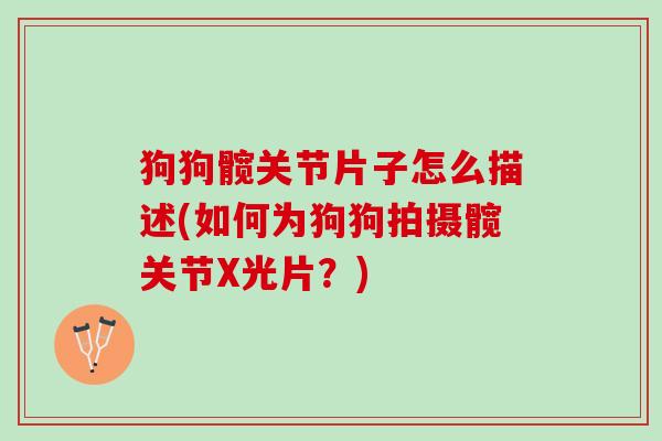 狗狗髋关节片子怎么描述(如何为狗狗拍摄髋关节X光片？)