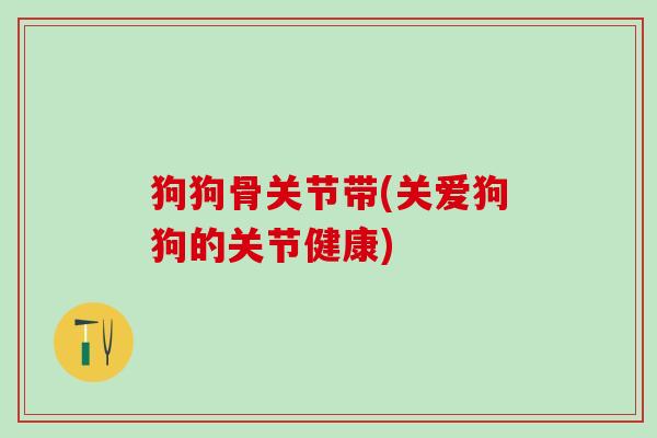 狗狗骨关节带(关爱狗狗的关节健康)