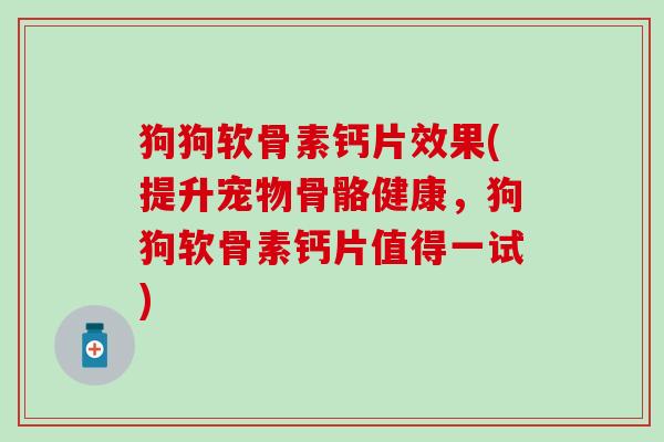 狗狗软骨素钙片效果(提升宠物骨骼健康，狗狗软骨素钙片值得一试)