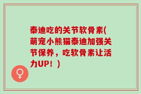 泰迪吃的关节软骨素(萌宠小熊猫泰迪加强关节保养，吃软骨素让活力UP！)