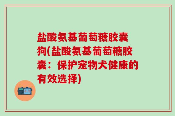 盐酸氨基葡萄糖胶囊 狗(盐酸氨基葡萄糖胶囊：保护宠物犬健康的有效选择)