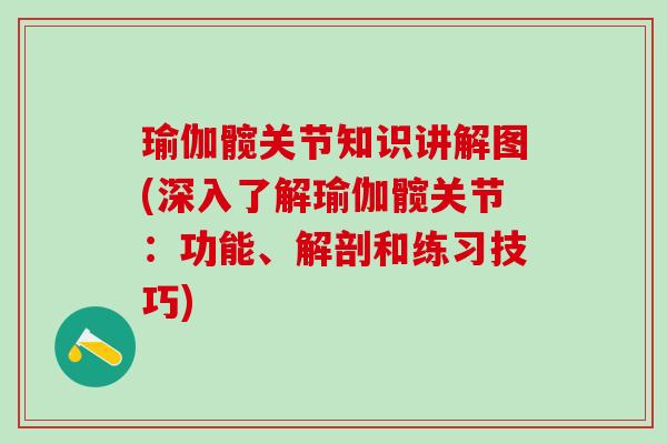 瑜伽髋关节知识讲解图(深入了解瑜伽髋关节：功能、解剖和练习技巧)