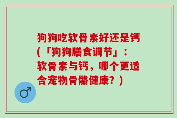 狗狗吃软骨素好还是钙(「狗狗膳食调节」：软骨素与钙，哪个更适合宠物骨骼健康？)