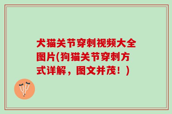 犬猫关节穿刺视频大全图片(狗猫关节穿刺方式详解，图文并茂！)