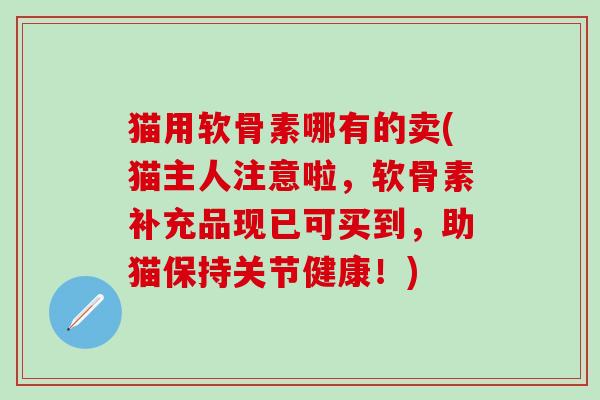 猫用软骨素哪有的卖(猫主人注意啦，软骨素补充品现已可买到，助猫保持关节健康！)