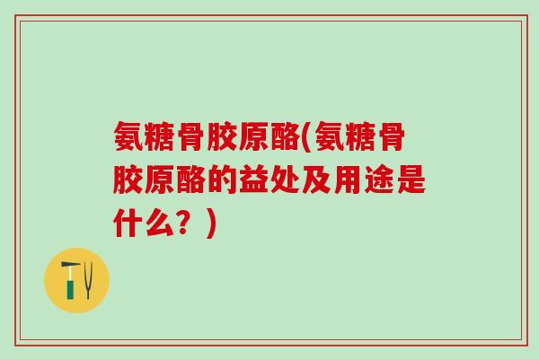 氨糖骨胶原酪(氨糖骨胶原酪的益处及用途是什么？)