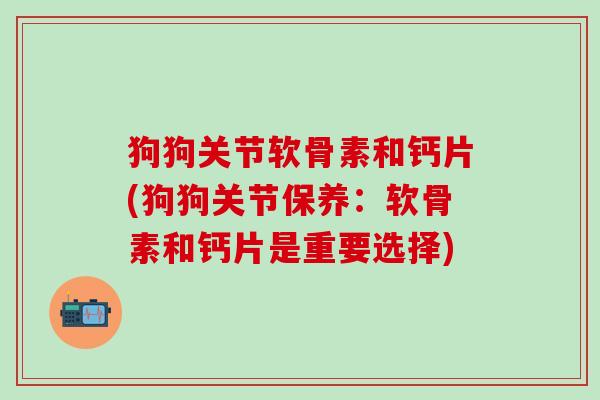 狗狗关节软骨素和钙片(狗狗关节保养：软骨素和钙片是重要选择)
