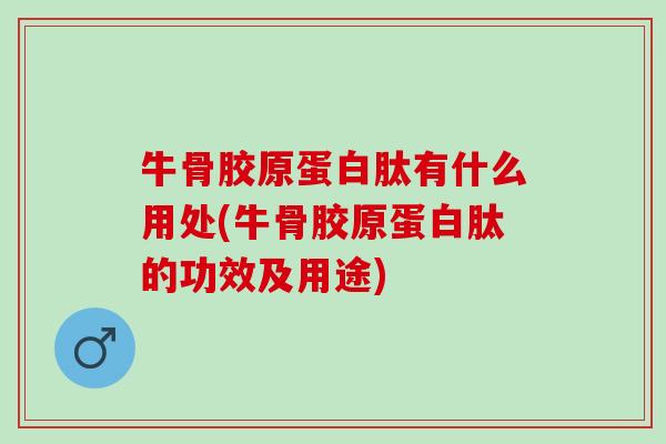 牛骨胶原蛋白肽有什么用处(牛骨胶原蛋白肽的功效及用途)