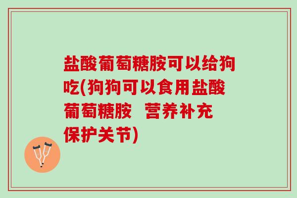 盐酸葡萄糖胺可以给狗吃(狗狗可以食用盐酸葡萄糖胺  营养补充保护关节)