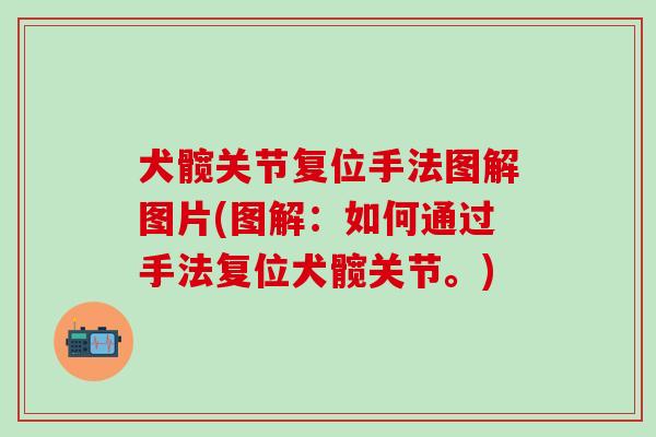 犬髋关节复位手法图解图片(图解：如何通过手法复位犬髋关节。)