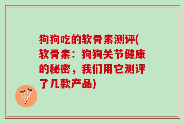 狗狗吃的软骨素测评(软骨素：狗狗关节健康的秘密，我们用它测评了几款产品)