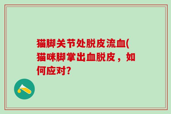 猫脚关节处脱皮流血(猫咪脚掌出血脱皮，如何应对？