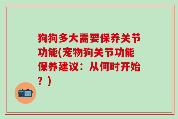 狗狗多大需要保养关节功能(宠物狗关节功能保养建议：从何时开始？)