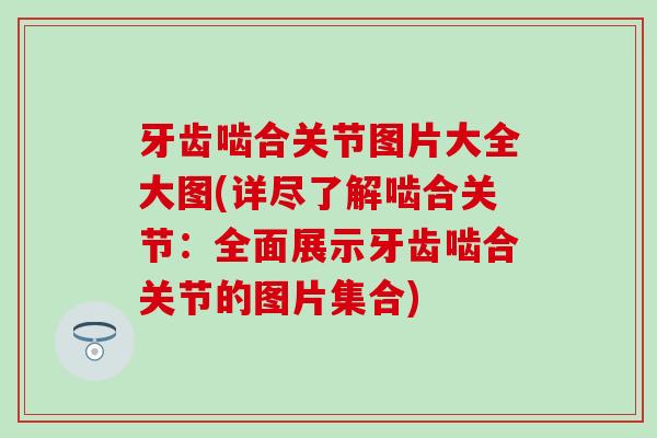 牙齿啮合关节图片大全大图(详尽了解啮合关节：全面展示牙齿啮合关节的图片集合)