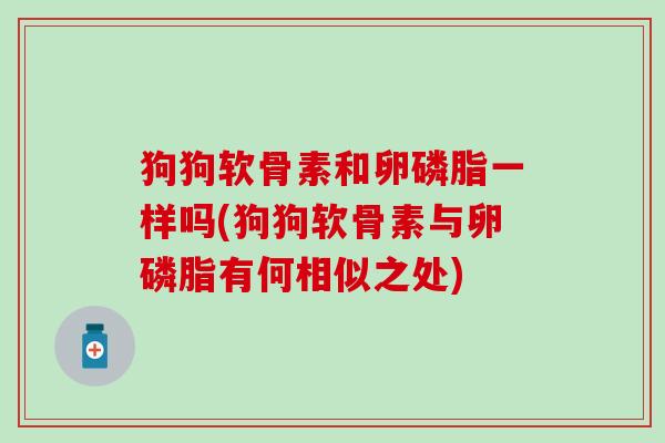 狗狗软骨素和卵磷脂一样吗(狗狗软骨素与卵磷脂有何相似之处)