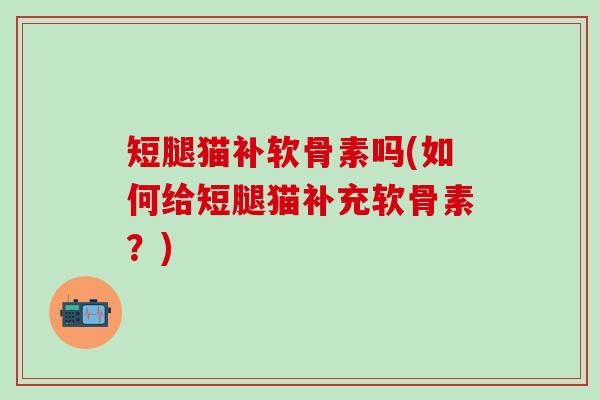 短腿猫补软骨素吗(如何给短腿猫补充软骨素?) 短腿猫补软骨素吗(如何给短腿猫补充软骨素?)