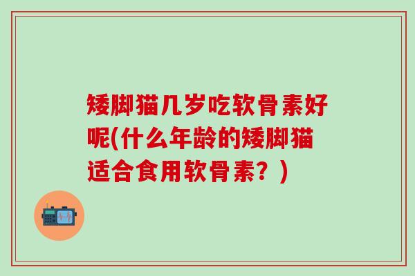 矮脚猫几岁吃软骨素好呢(什么年龄的矮脚猫适合食用软骨素？)